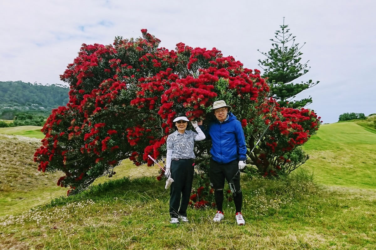 ニュージーランド ゴルフ 旅 感想 コメント 099