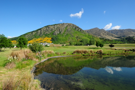 �j���[�W�[�����h �S���t �~���u���b�N���]�[�g