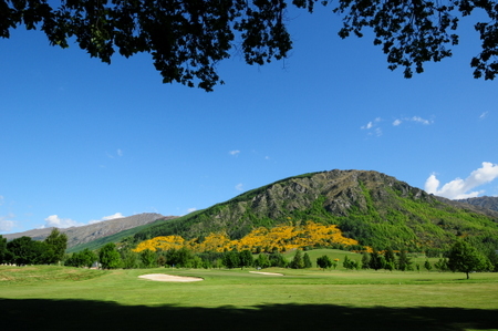 �j���[�W�[�����h �S���t �~���u���b�N���]�[�g