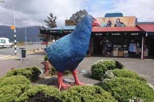 ニュージーランド 観光地 ミルフォードサウンド テアナウ